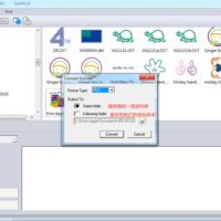 DST轉檔PES使用PE Design