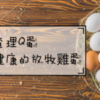健康的放牧雞蛋-查理Q蛋