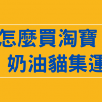 小心服用入坑手要先綁好『怎麼買淘寶？怎麼集運』推薦奶油貓VK的好親辜